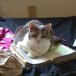 Meet your Posher, Beth